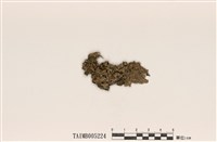 藏品(金梅衣)的圖片